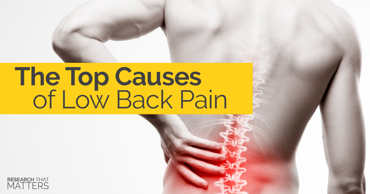 The Top Causes of Low Back Pain - Optimal Wellness Chiropractic